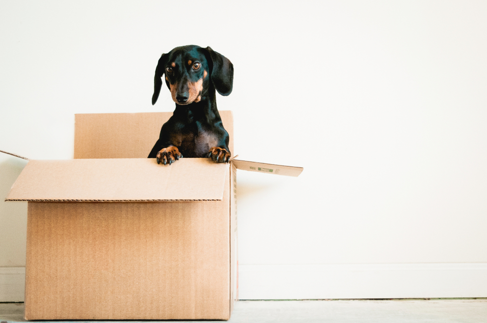 5 Things You Shouldn’t Put in a Storage Container