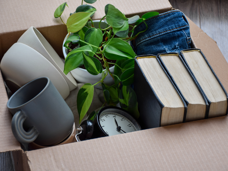 Downsizing