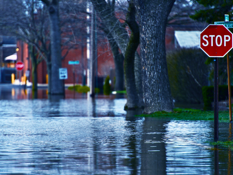 Essential Steps to Take After Flooding