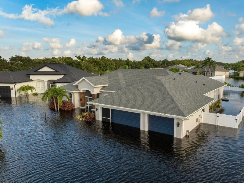 Flood Damage: The Next Steps to Take