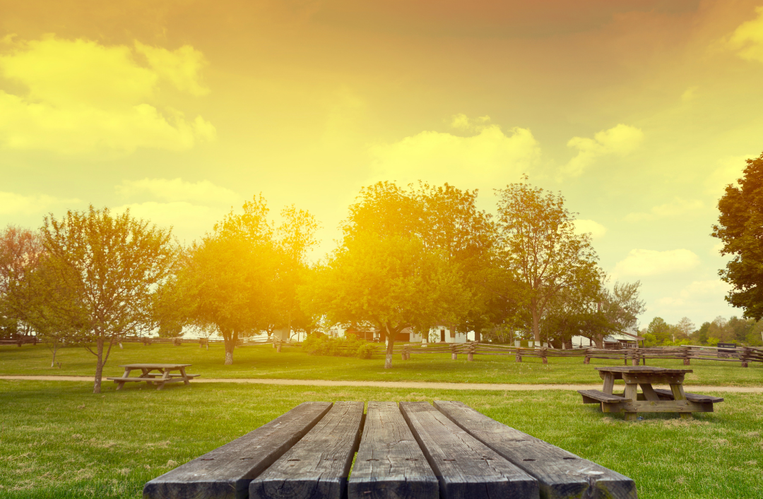 The Best Parks and Picnic Areas for New Residents in Kansas City