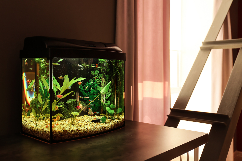 A fish tank laying on a counter.