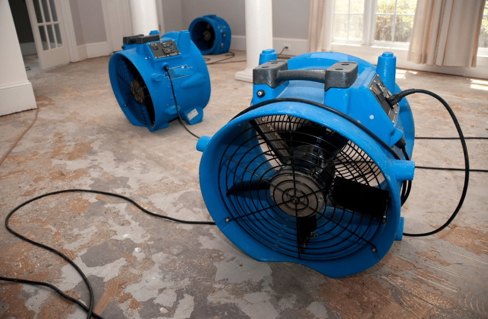 The Crucial Role of Storage in the Restoration Process