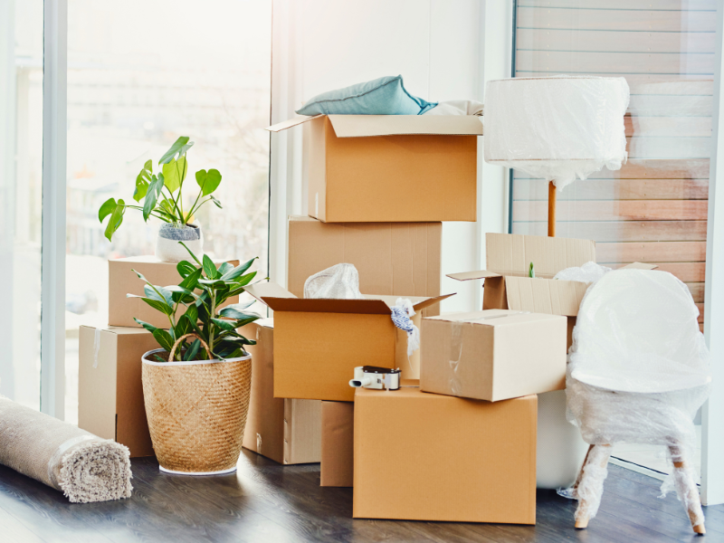 Spring Moving Guide: What to Know for a Smooth Transition