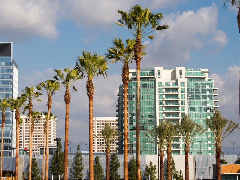 Renting an Apartment