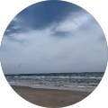 Stephanie Gray Avatar