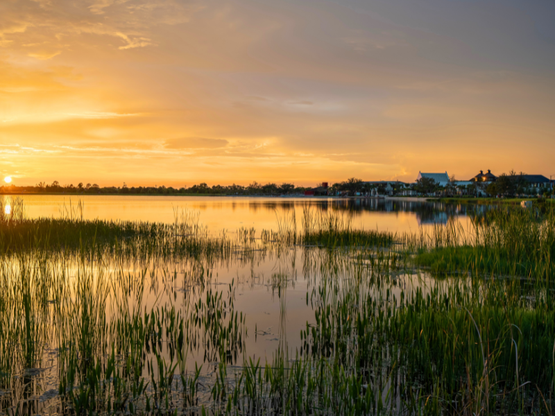 Your Guide to Moving to North Port
