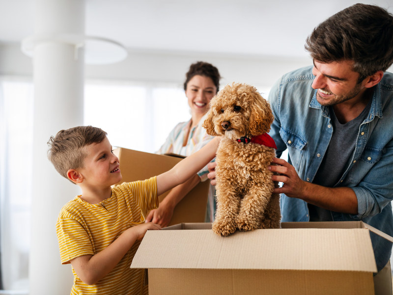 family Preparing New Home for Pets After Moving