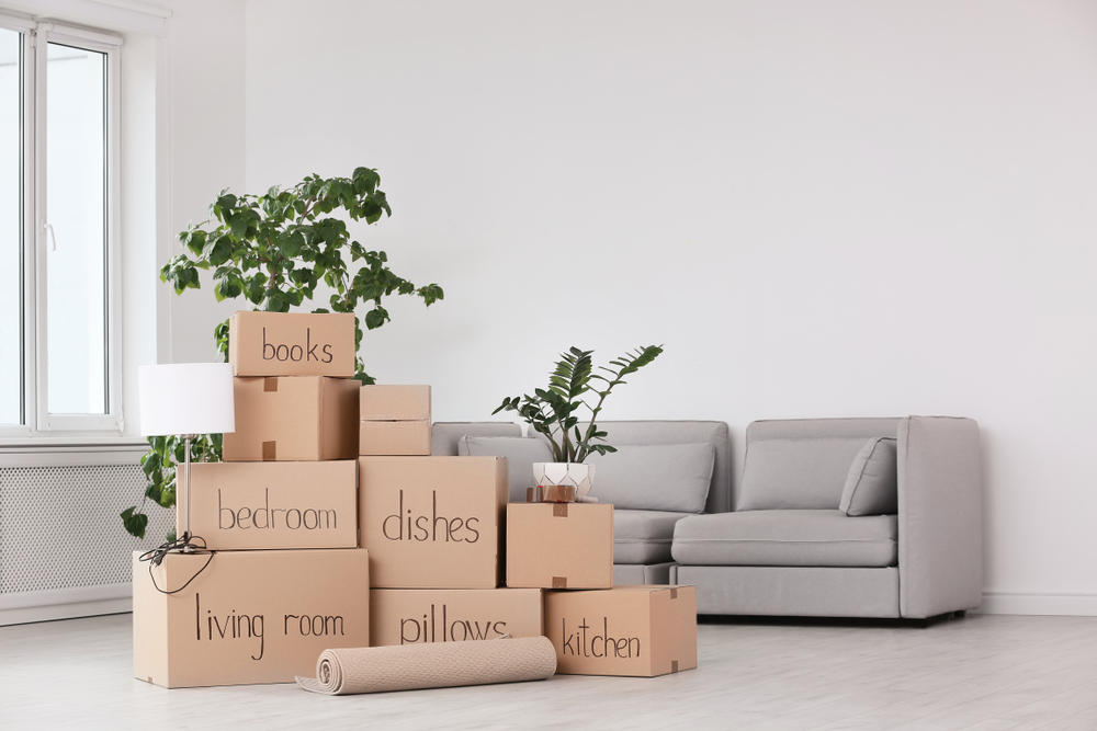 What to Remember When You Need to Move Fast in Ventura County